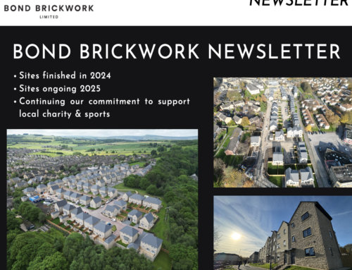 Newsletter – Review of 2024, Looking forward to 2025